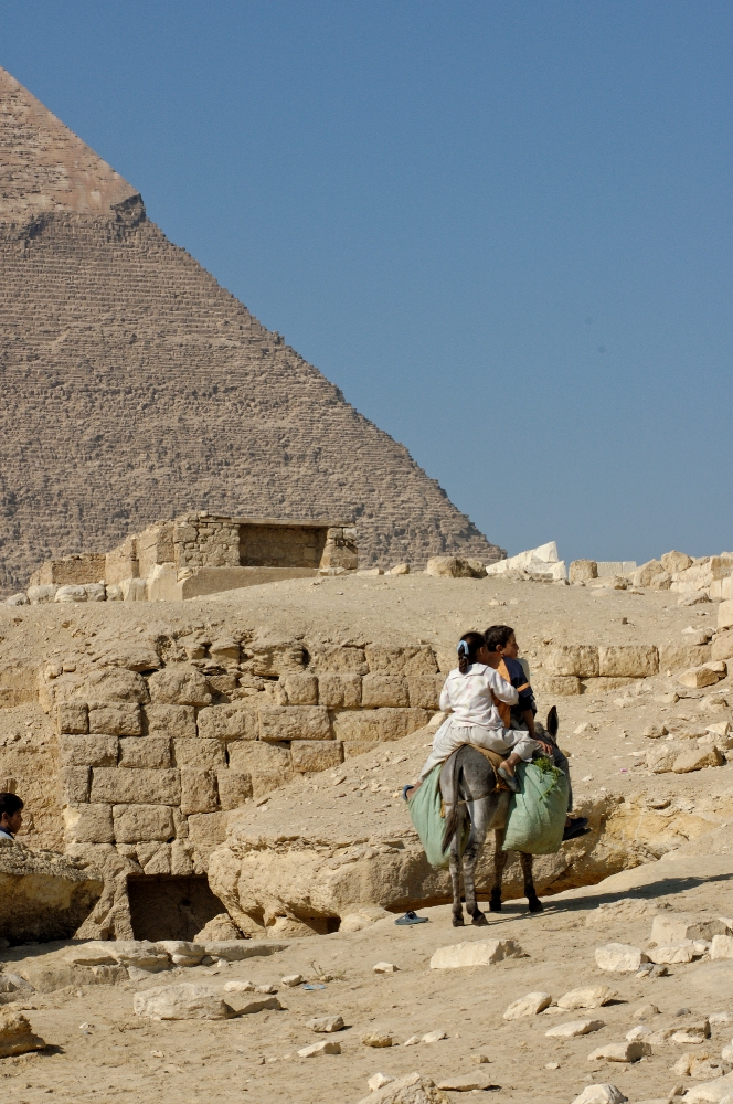 Riding donkey near Pyramids Giza Egypt Photo 5409