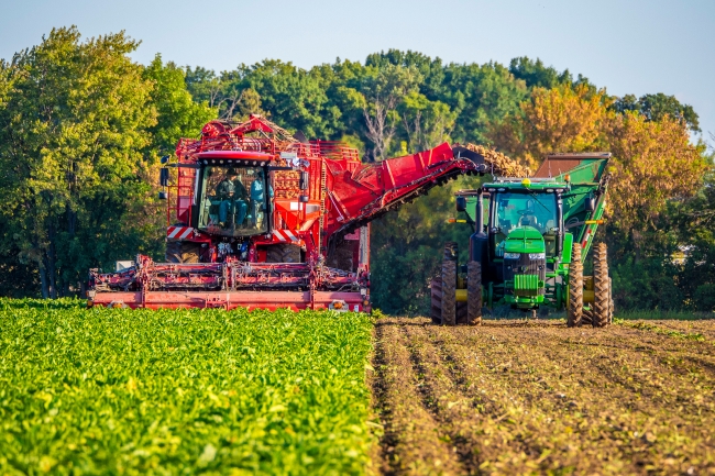 Smart ag autonomous tracktor in sugar beet field