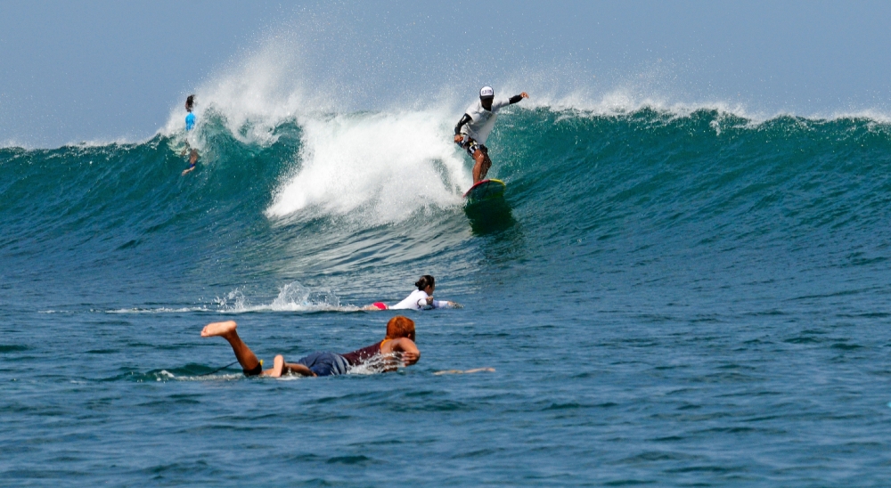 Surfing Indonesia