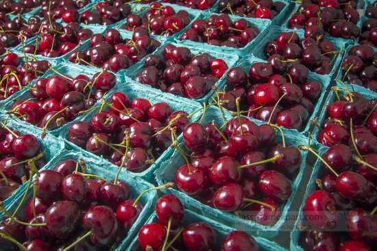 Sweet cherries in baskets for sale