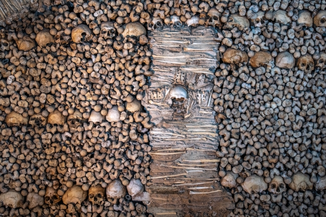 Thousands of human bones and skulls