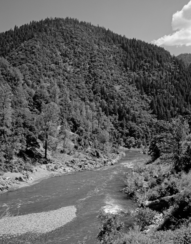 Trout stream deep in the Cascade Mountains Washington BW photo