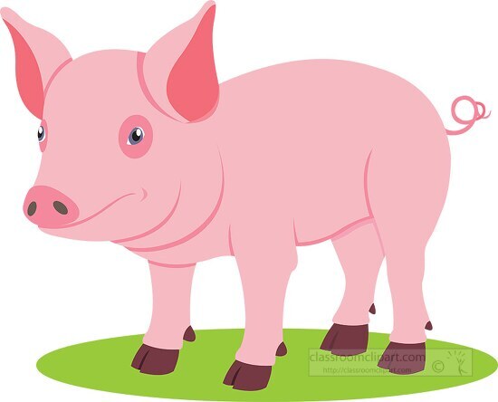 pig clipart