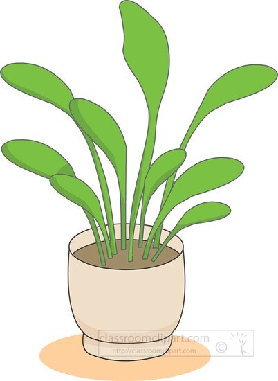 potted house plant clipart