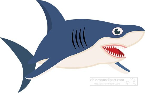 predatory shark sharp teeth clipart