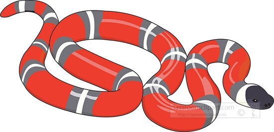 red white gray black snake clipart