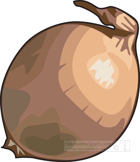 single brown onion clipart