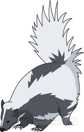 skunk animal clipart