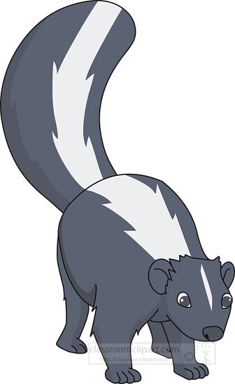 skunk animal clipart 427