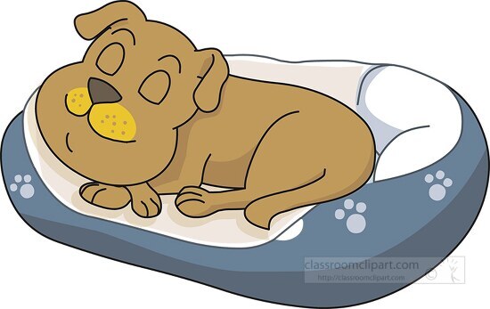 sleeping in dog bed 813