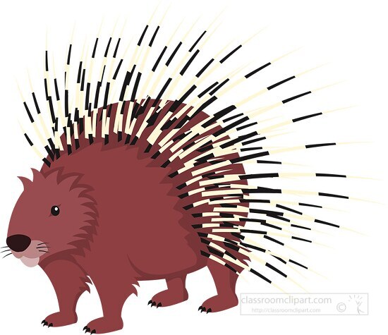 spikey porcupine clipart 614