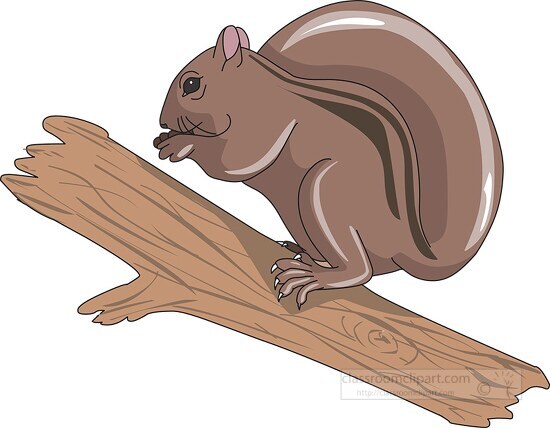 squirrel on tree branch clipart