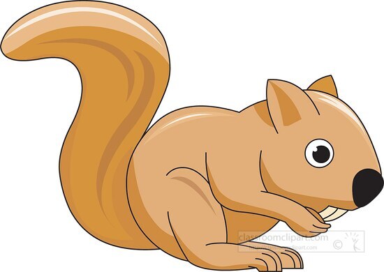 squirrel_animal 25