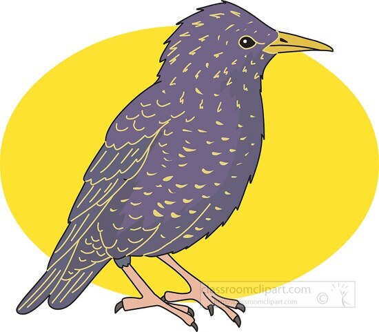 starling bird clipart