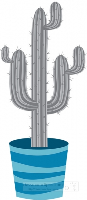 tall cactus in a ceramic planter pot gray color