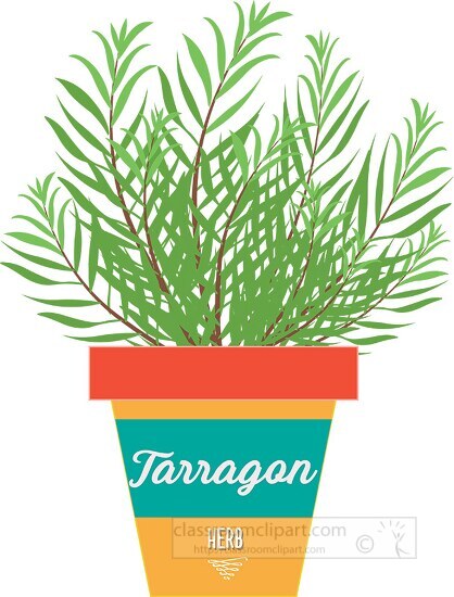 tarragon growing in planter herb clipart