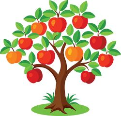 apple tree with red and yellow apples transparent png