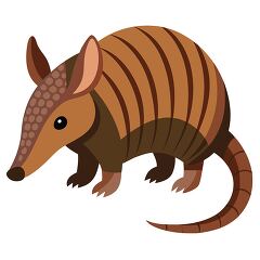 armadillo with brown stripes stands upright