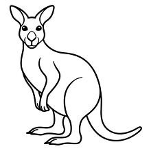 australian kangaroo black outline