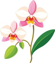 beautiful pink orchid with a yellow bud and green foliage