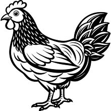 Black and white illustration of a farm chicken