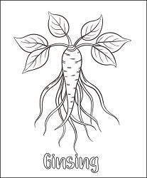 black outline of stylized drawing of a ginseng plant