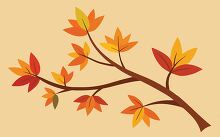 branch full of colorful fall leaves against a light background