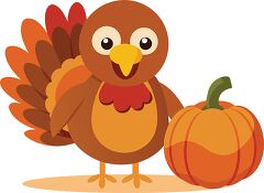 cheerful thanksgiving turkey stands beside a bright orange pumpk