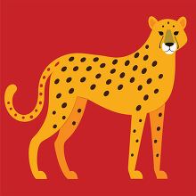 cheetah stands boldly against a deep red background