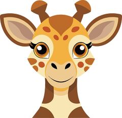 closeup of a giraffe face with big ears