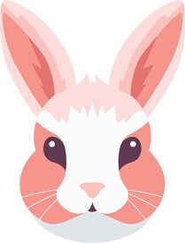 cute big eared rabbit