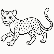 cute cartoon cheetah walking forward black outline clipart