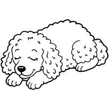 cute poodle dog sleeping black outline