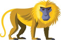 golden maned macaque with a long tail