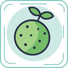 green fruit blue line icon