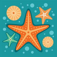 group of orange starfish of various sizes with cute sea shells