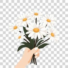 Holding a Bouquet of Daisies in a Vibrant Illustration