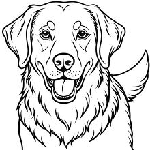 Labrador Retrievers head black outline