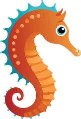 orange seahorse with a curled tail and big eyes