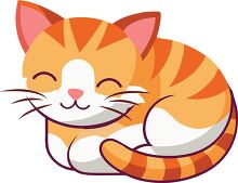 orange striped kitten curled up sleeping clipart