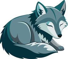 peaceful curled up wolf sleeping