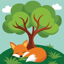 peaceful fox is curled up and sleeping