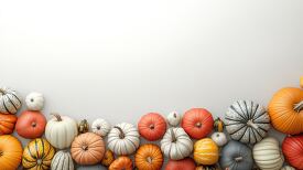 arrangement of multicolored pumpkins with white space