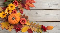 decorative autumn display of colorful leaves sunflowers a pumpki