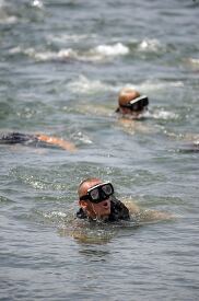 Multiple divers swim in the ocean wearing goggles and snorkels