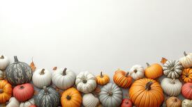 pumpkins in shades of white gray and orange