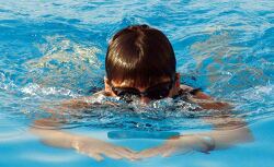 swimmer performs the breaststroke in a swimming pool