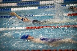 Swimmers racing in a pool, performing backstroke