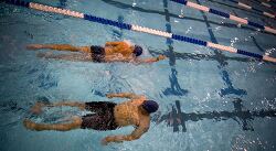 Two swimmers swimming in a lane of a swimming pool