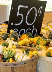 variety gourds for sale in baskets